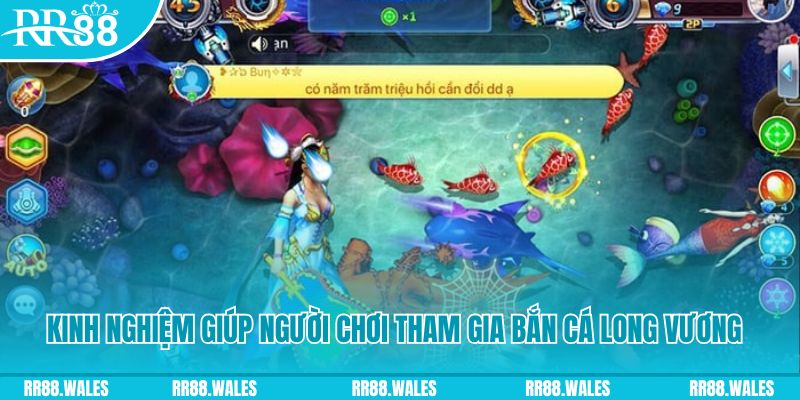 shondo casino ĐĂNG KÝ