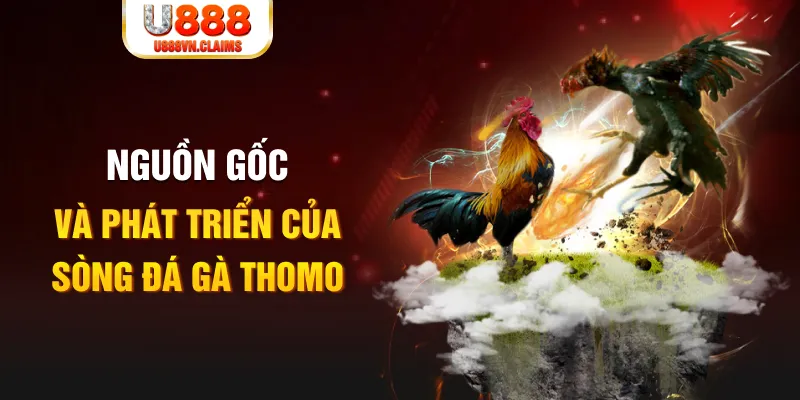 zv99 casino kèo nhà cái