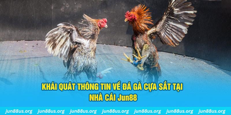 sbobet casino Trực tuyến